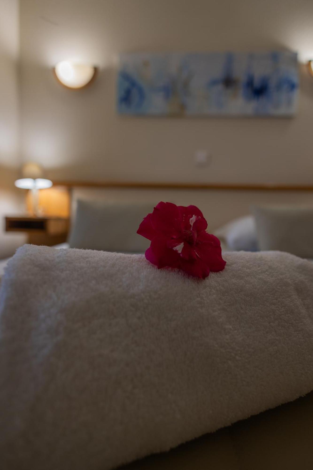 Logis Des Cretes De Pignols Hotell Moissac Eksteriør bilde